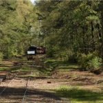 Rolling stock up in the woods.